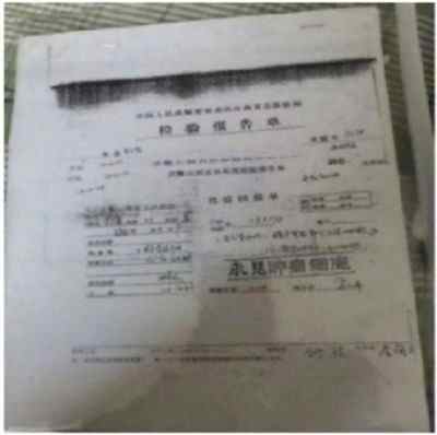 国医楷模陈海林 | 癌细胞逆转正常生理细胞 引起全球广泛关注 —— 五一特别报道